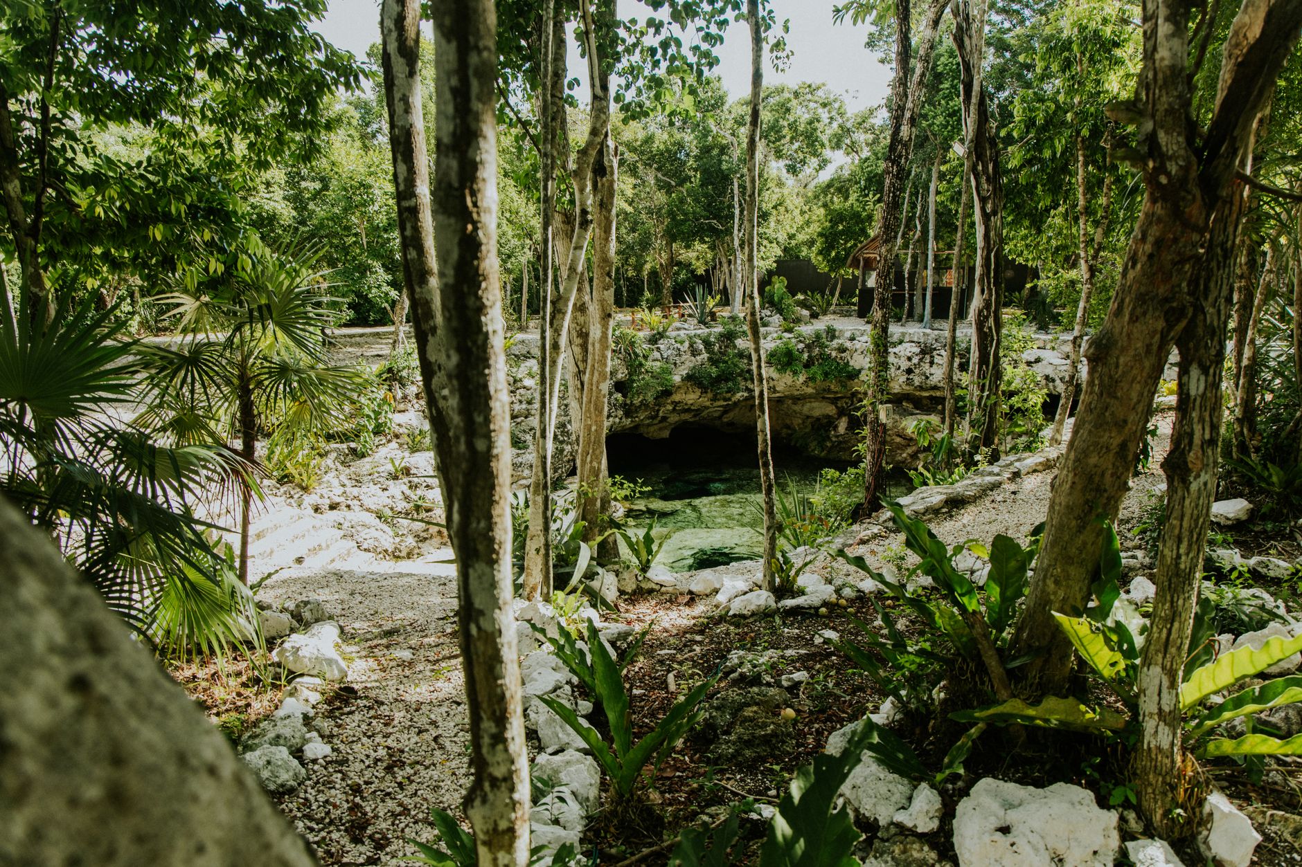 Buceo y esnórquel en cenotes